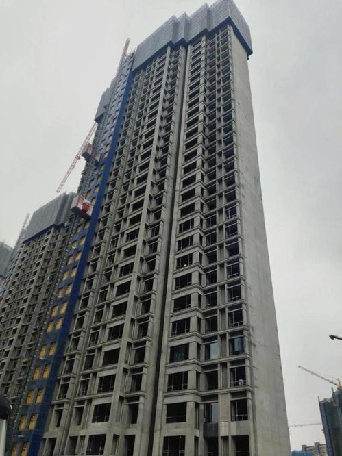 中交國(guó)貿(mào)鷺原項(xiàng)目及周邊利好最新工程進(jìn)度播報(bào)